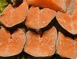 Salmon